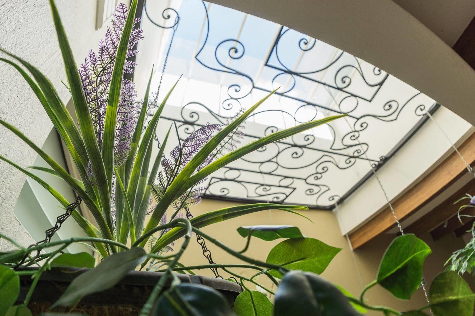 San Pietro Boutique Hotel ทลาคิวปาก ภายนอก รูปภาพ